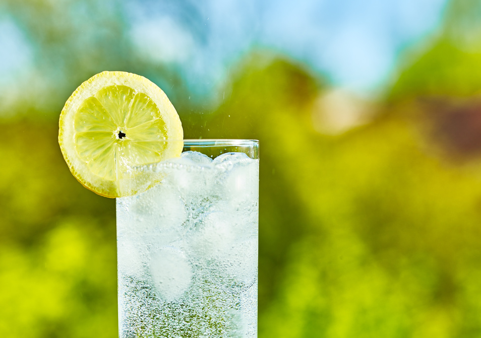 Sparkling Water and Lemon Slice